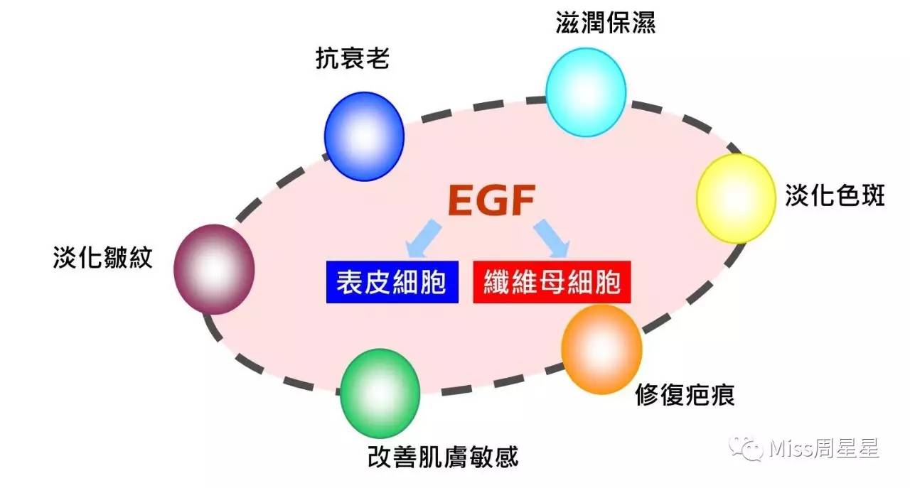 太丧心病狂了！火爆朋友圈的DDS干细胞鲑鱼精华竟然是来圈钱的？ 拔草(图20)