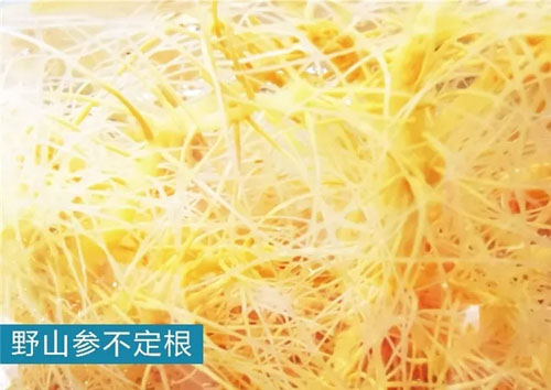 赛思美：黑科技风暴革新护肤行业格局