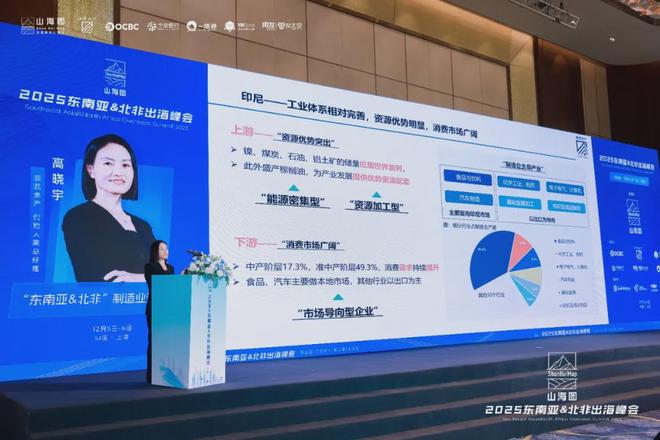 2025东南亚北非出海峰会成功举办 3000家企业同聚一堂共话出海新机遇(图6)