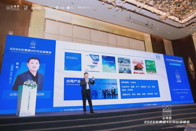 2025东南亚北非出海峰会成功举办 3000家企业同聚一堂共话出海新机遇(图3)