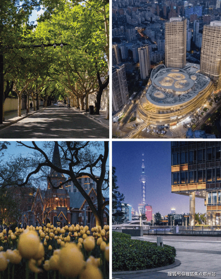 上海金茂璞元官方售楼处-(2026【金茂璞元】最新)楼盘网站-看房预约电话-房价-户型-图文介绍-物业电话(图6)