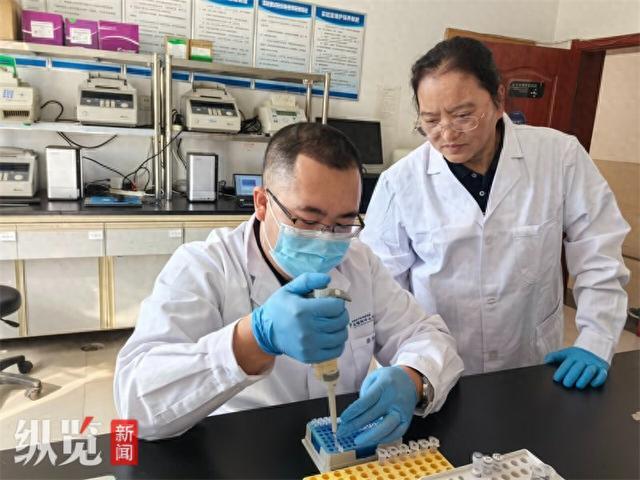 领创者②｜王玉芬：“蓝色粮仓”育种者