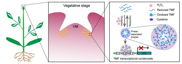 首都文明播报：美团骑手河边救人海淀西城联动奖励传递正能量