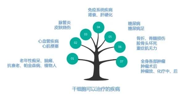 新虹桥国际医学中心：上海医疗健康的新地标电话挂号咨询预约客服体检干细胞免疫细胞血液净化(图1)