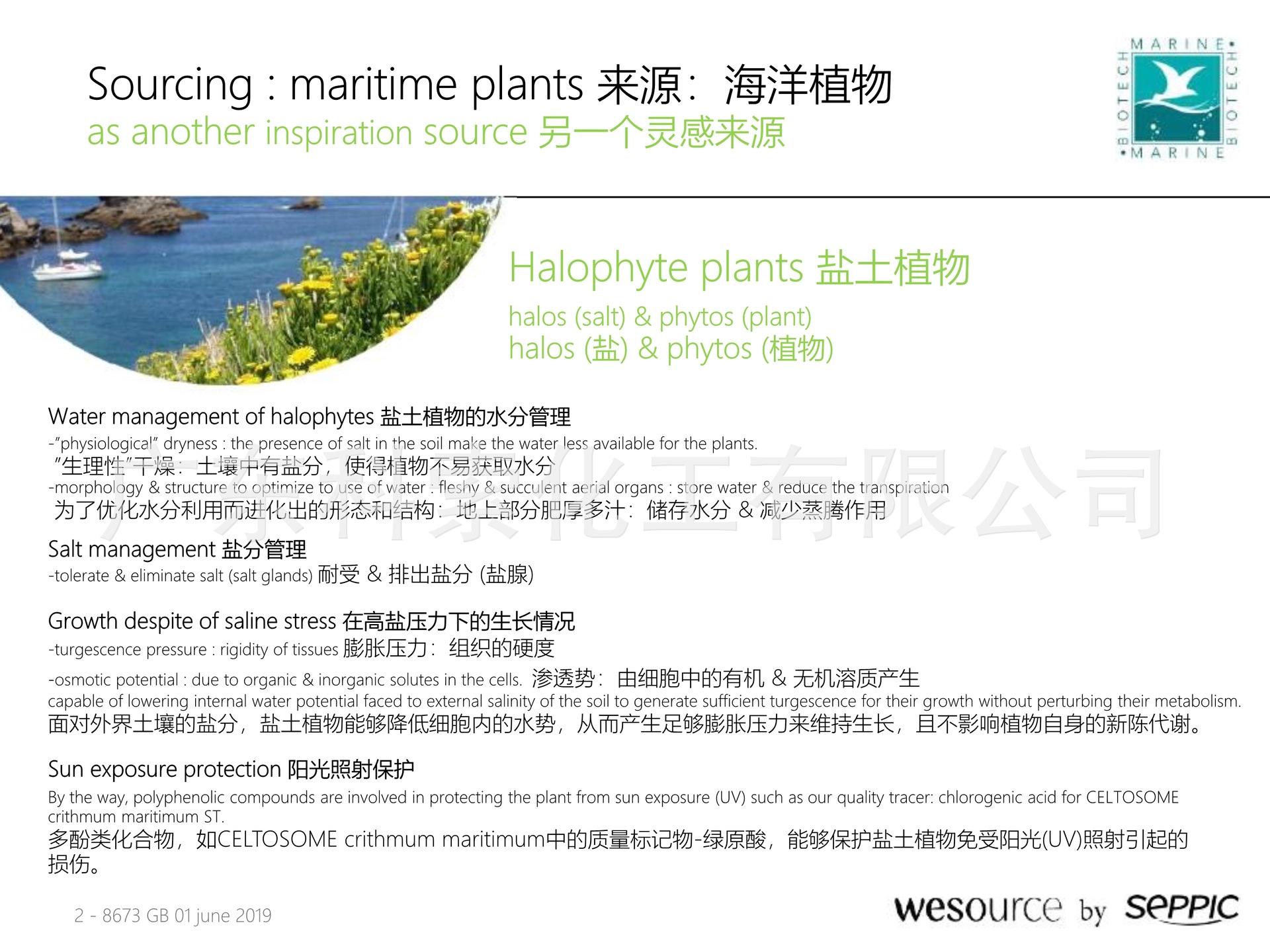 干细胞的三个来源是什么(图1)
