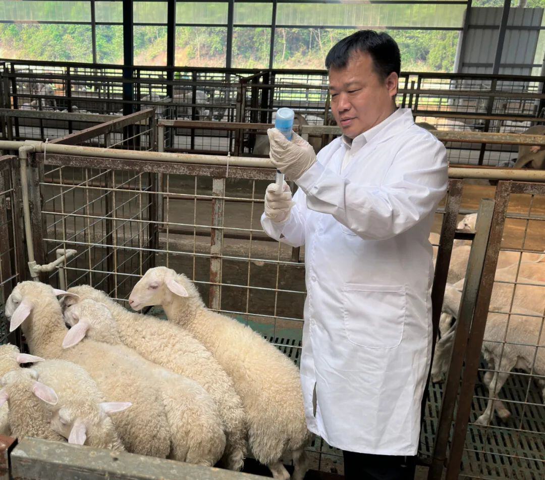 全国科技工作者日致敬创新力量致敬每一个创新不止的你(图16)